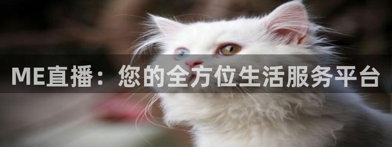 球神体育直播官网