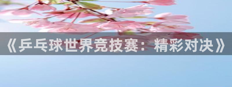 球神直播体育足球