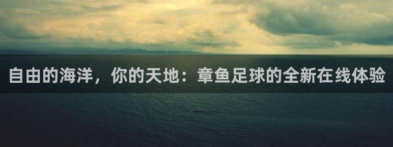 球神直播在线直播免费观看