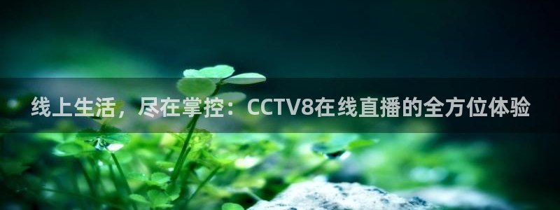 球神直播体育免费观看
