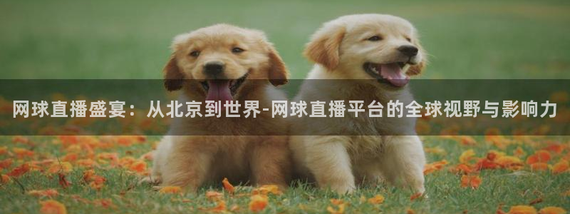 球神直播体育免费直播：网球直播盛宴：从北京到世界-网球直播平台的全球视野与影响力