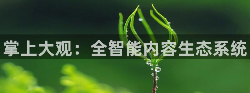 球神直播体育：掌上大观：全智能内容生态系统