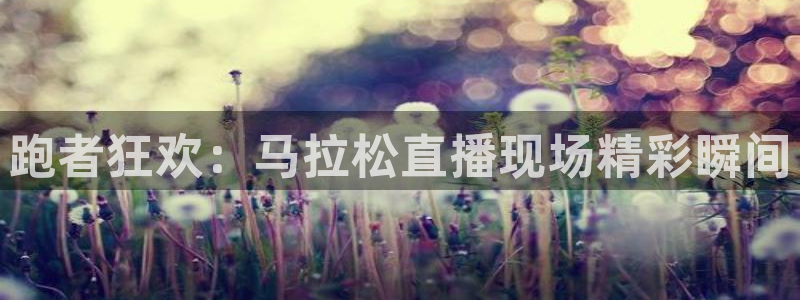 球神看球直播