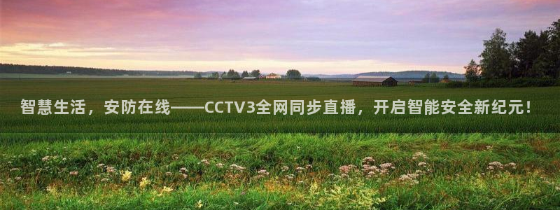 球神直播体育足球：智慧生活，安防在线——CCTV3全网同步直播，开启智能安全新纪元！