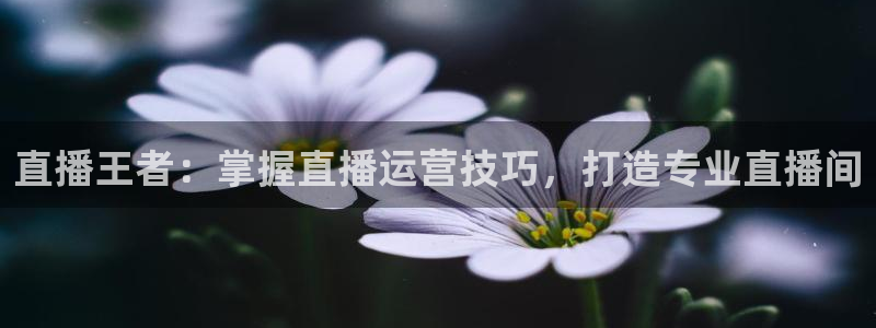 nba球神直播在线观看
