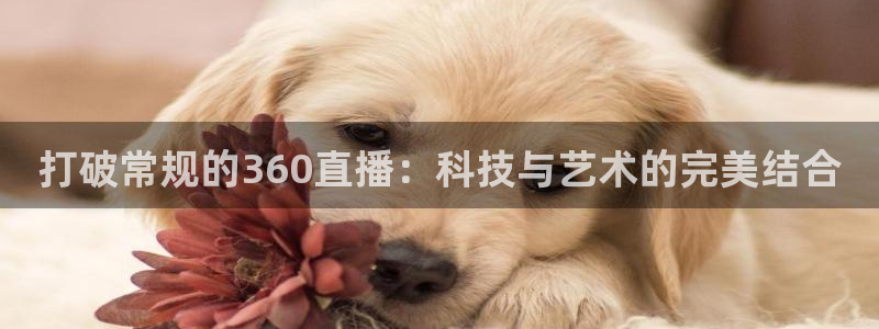 qszb球神直播首页