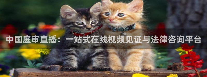 黑白直播免费高清看球神器：中国庭审直播：一站式在线视频见证与法律咨询平台